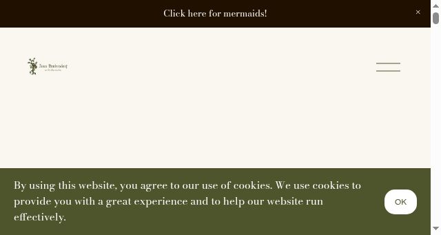 Screenshot of janaheidersdorf.com