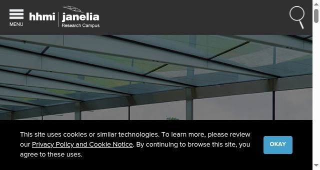 Screenshot of janelia.org