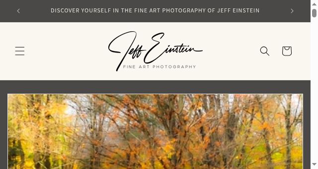 Screenshot of jeffeinsteinart.com