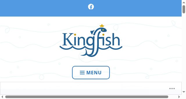 Screenshot of kingfishpumping.com