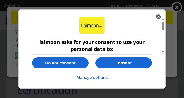 Screenshot of laimoon.com