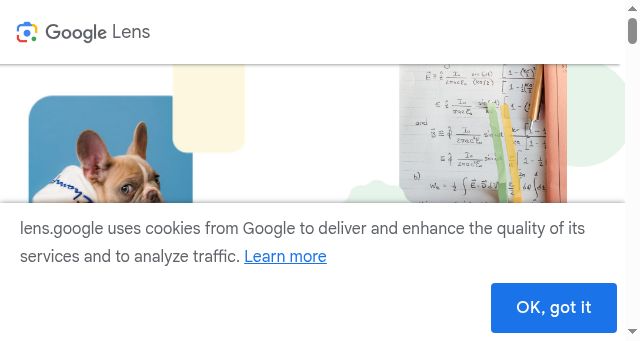 Screenshot of lens.google