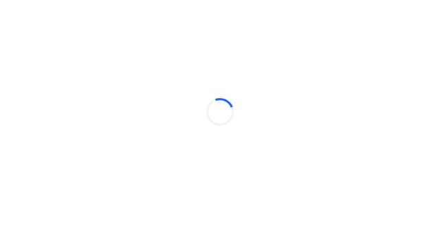 Screenshot of locofy.ai