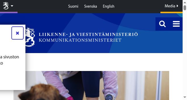 Screenshot of lvm.fi