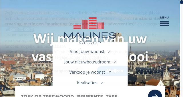 Screenshot of malines-group.be