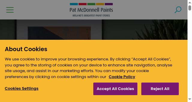 Screenshot of mcdonnellpaints.ie