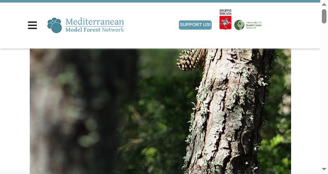 Screenshot of medmodelforest.net