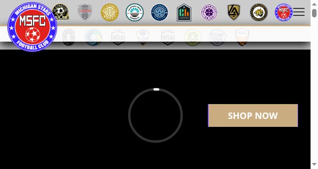 Screenshot of michiganstarsfc.com
