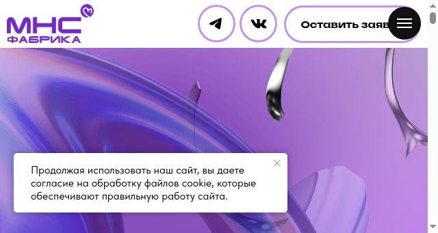 Screenshot of mnsfactory.ru