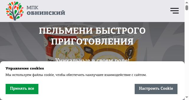 Screenshot of mpkobninsk.ru