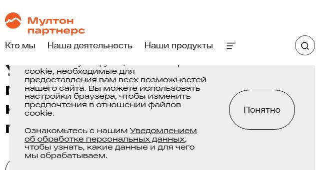 Screenshot of multonpartners.ru