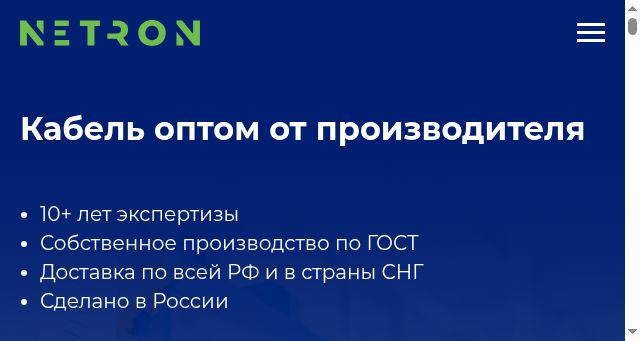 Screenshot of netron.pro