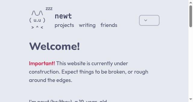 Screenshot of newty.dev