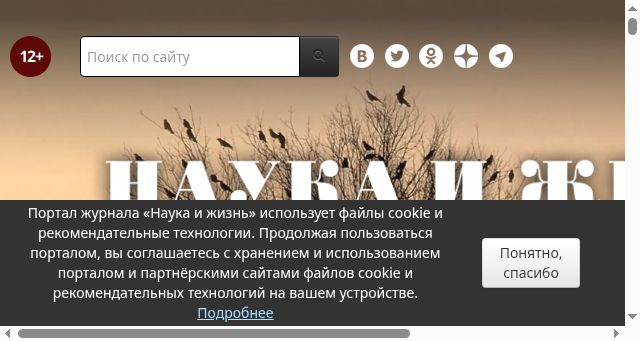 Screenshot of nkj.ru