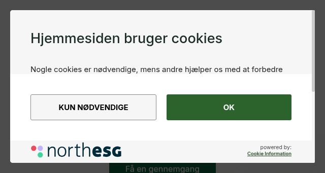 Screenshot of northesg.dk