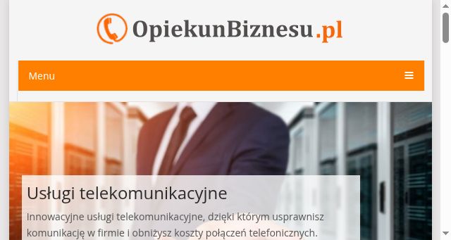 Screenshot of opiekunbiznesu.pl