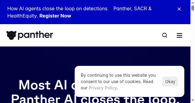 Screenshot of panther.com