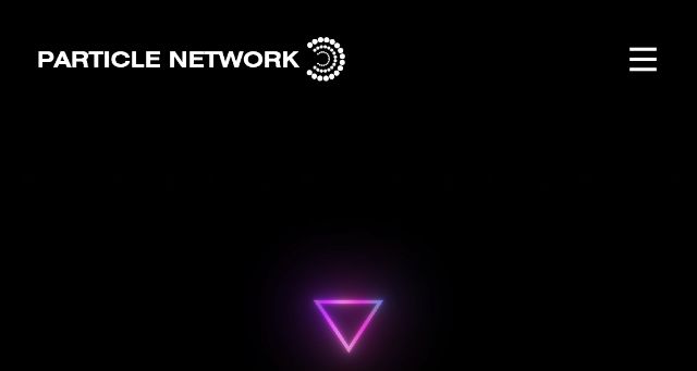 Screenshot of particle.network