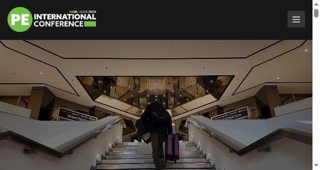 Screenshot of peinternational.net