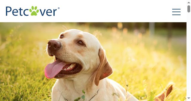 Screenshot of petcovergroup.com
