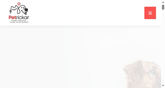 Screenshot of petrickar.com