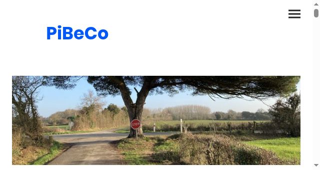 Screenshot of pibeco.com