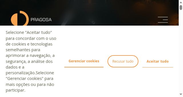 Screenshot of pragosa.pt