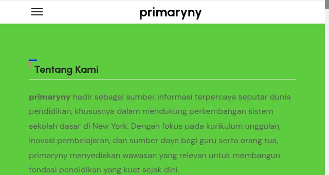 Screenshot of primaryny.com