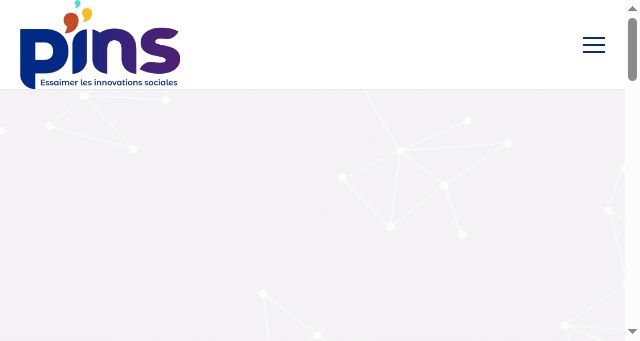Screenshot of programme-pins.org