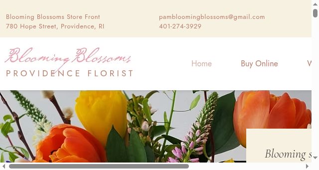 Screenshot of providence-florist.com