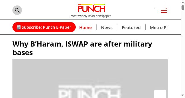 Screenshot of punchng.com