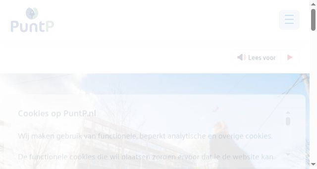 Screenshot of puntp.nl