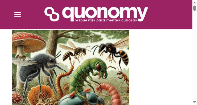 Screenshot of quonomy.com