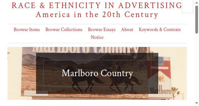 Screenshot of raceandethnicity.org