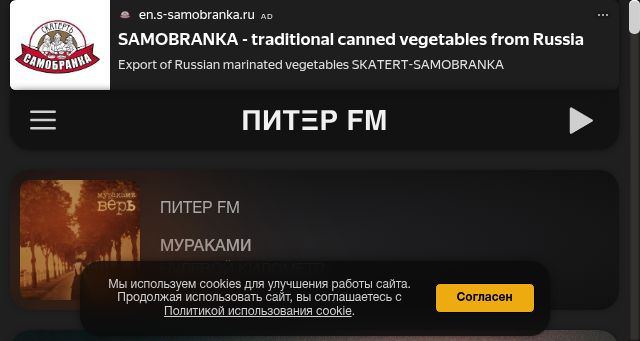 Screenshot of radiopiterfm.ru