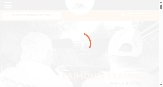 Screenshot of raimondi.fr