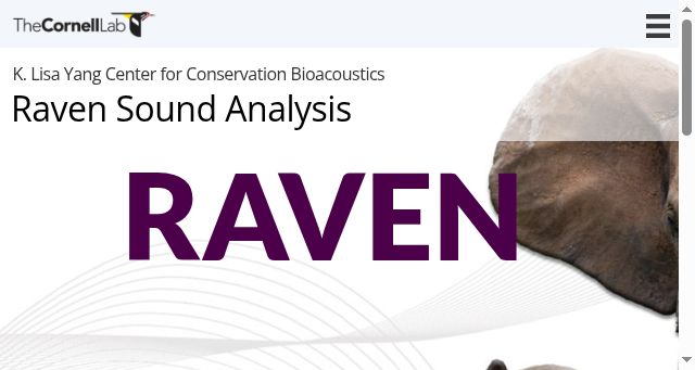 Screenshot of ravensoundsoftware.com