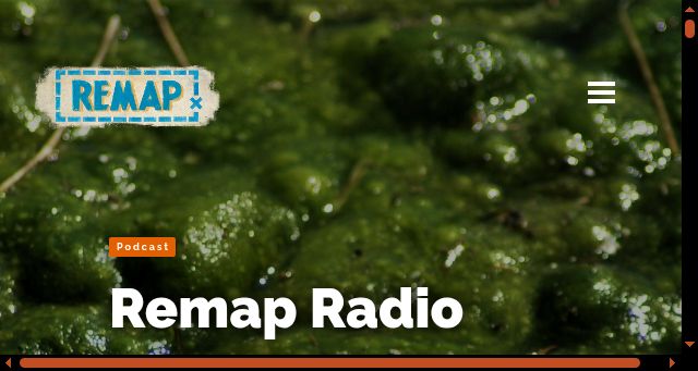 Screenshot of remapradio.com