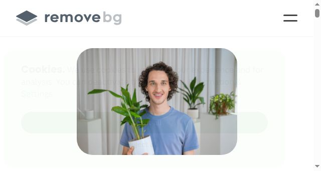 Screenshot of remove.bg