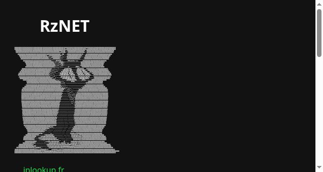 Screenshot of rznet.fr