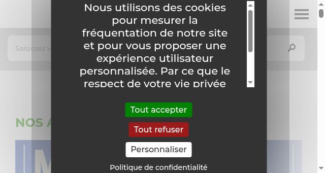 Screenshot of saint-etienne-metropole.fr