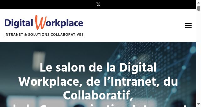 Screenshot of salon-digitalworkplace.com