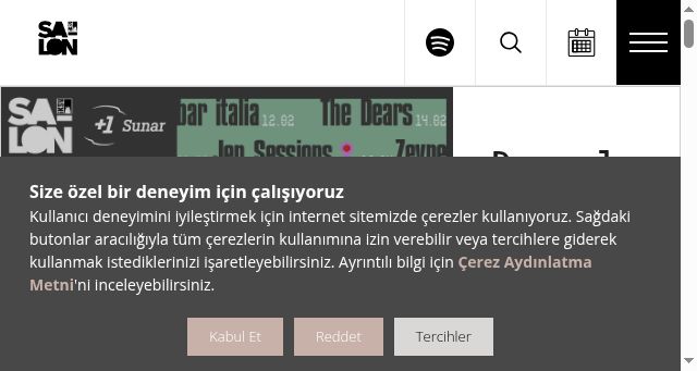 Screenshot of saloniksv.com