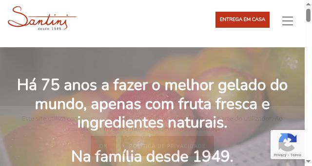 Screenshot of santini.pt