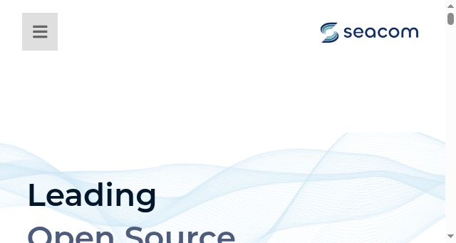 Screenshot of seacom.it