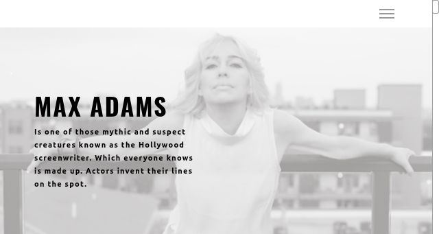 Screenshot of seemaxrun.com