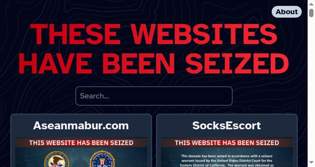 Screenshot of seized.fyi