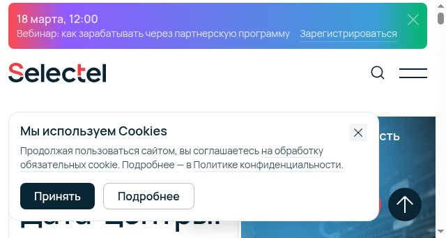 Screenshot of selectel.ru