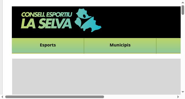 Screenshot of selvaesports.cat