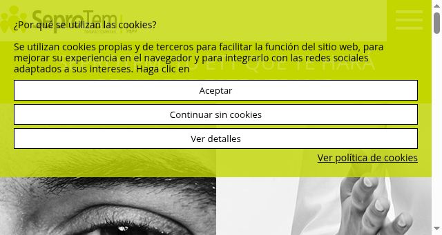 Screenshot of seprotem.com